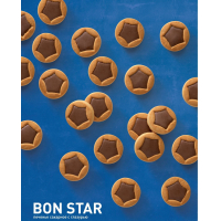 Печенье "Bon star" 4кг. с шоколадной глазурью