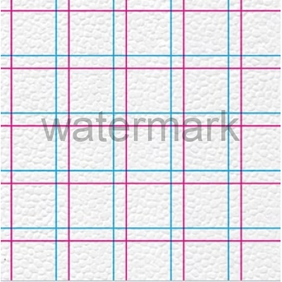 Салфетки "Семья и Комфорт" 100 клетка 2х.цв. (48)